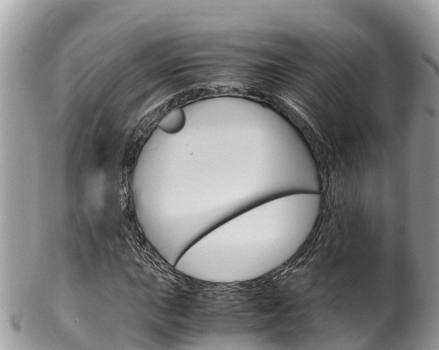 X0000100491015200806130750