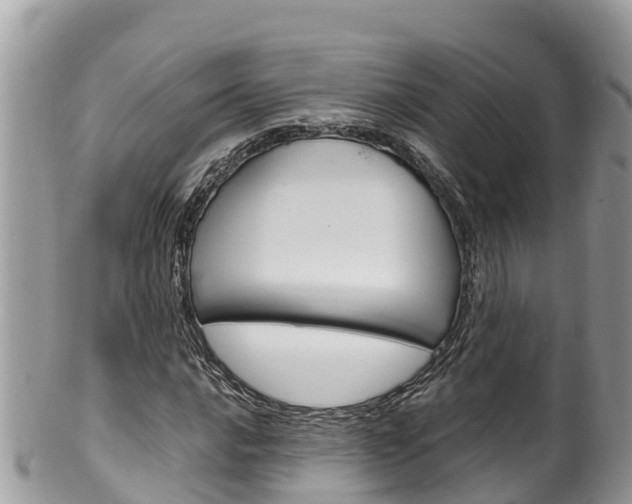 X0000100491016200806130750