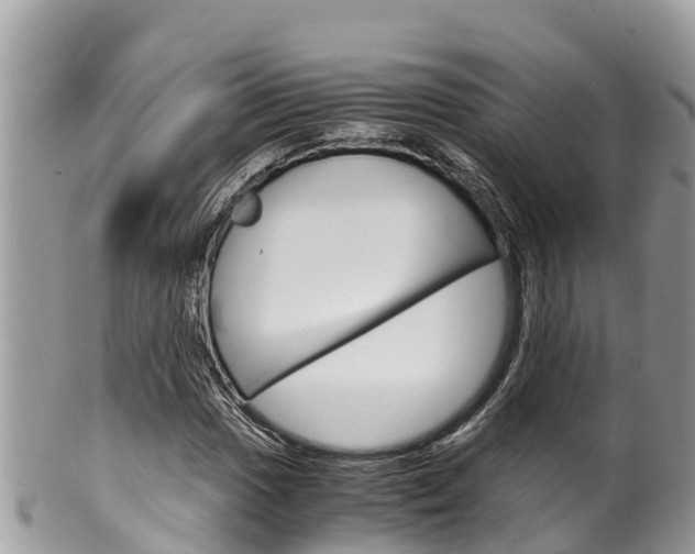 X0000100491017200806130750