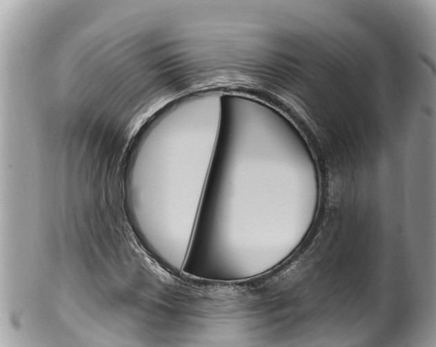 X0000100491018200806130750