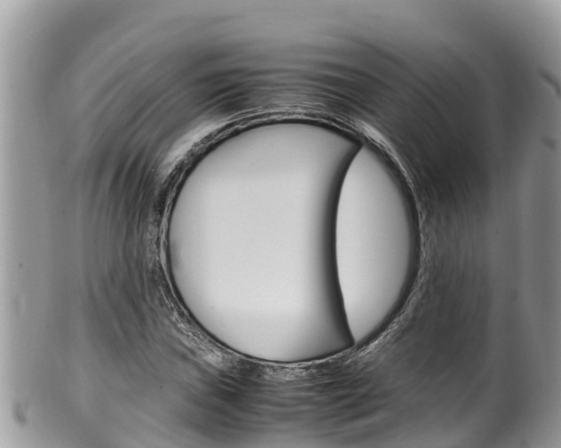 X0000100491019200806130750