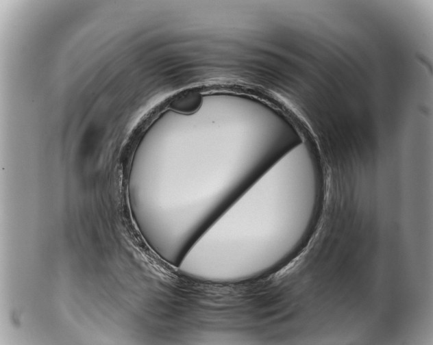 X0000100491021200806130751