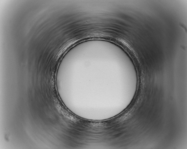 X0000100491025200806130751
