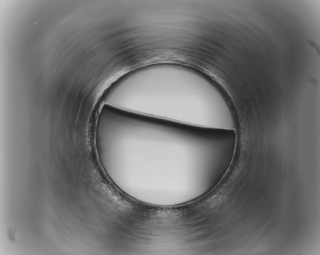 X0000100491026200806130751
