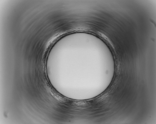 X0000100491027200806130751
