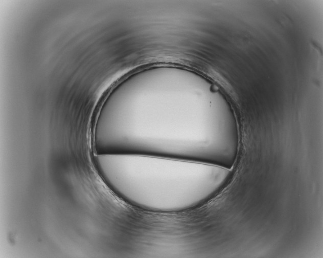 X0000100491028200806130751