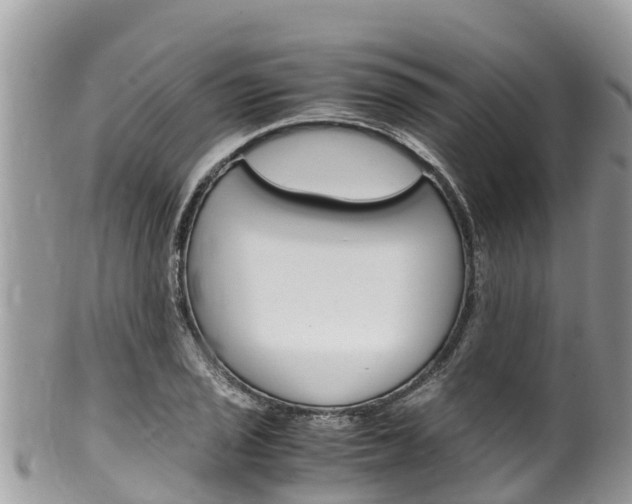 X0000100491029200806130751