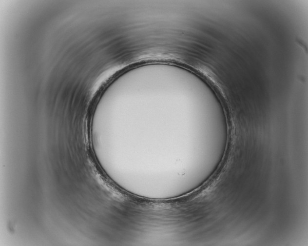 X0000100491030200806130751