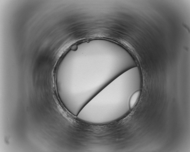 X0000100491031200806130751