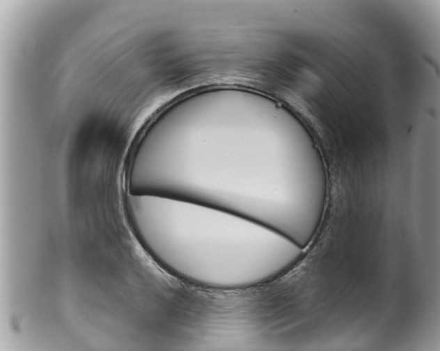 X0000100491032200806130751