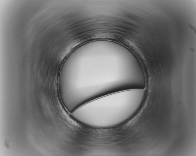 X0000100491033200806130751