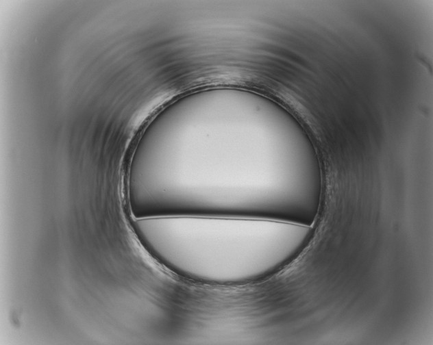 X0000100491034200806130751