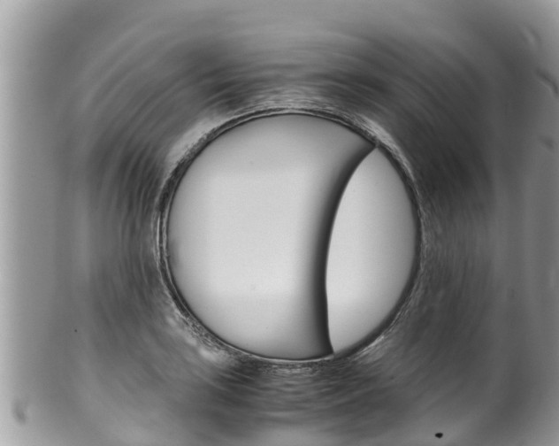 X0000100491035200806130751