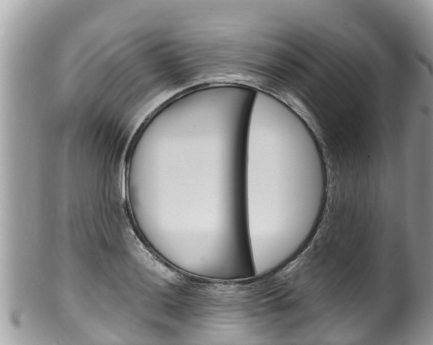 X0000100491036200806130751
