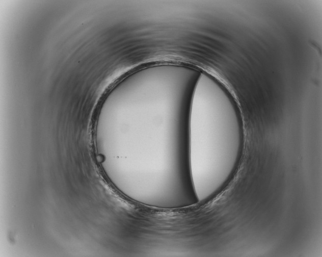 X0000100491037200806130751