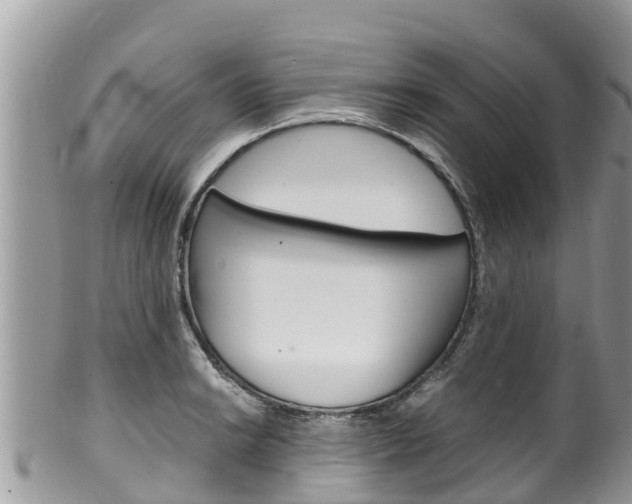 X0000100491038200806130751