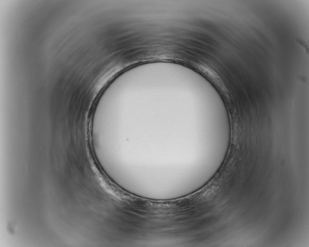 X0000100491039200806130751