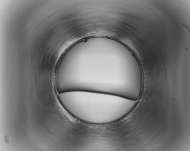 X0000100491040200806130751
