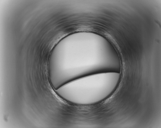 X0000100491041200806130751