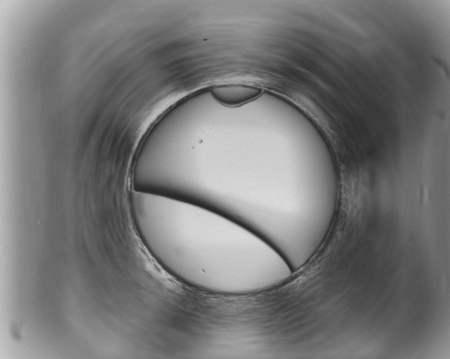 X0000100491044200806130751