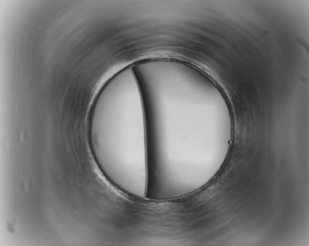 X0000100491045200806130751