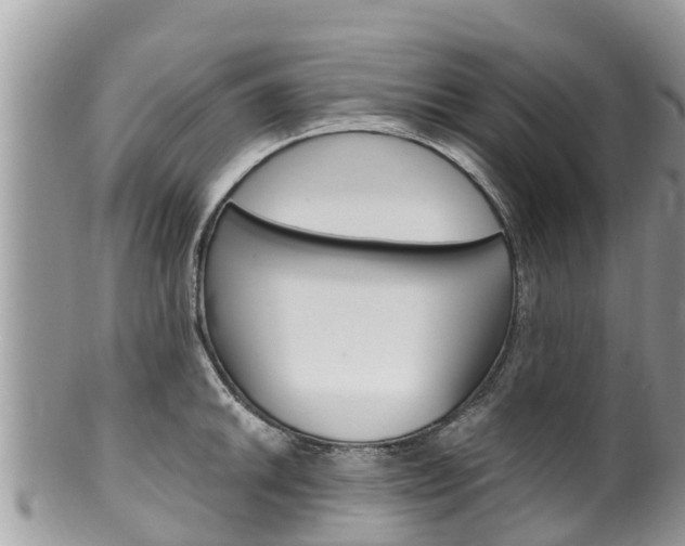 X0000100491046200806130751