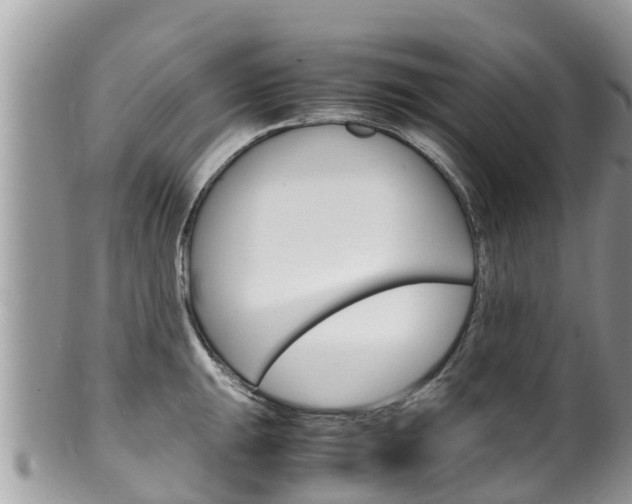 X0000100491047200806130751