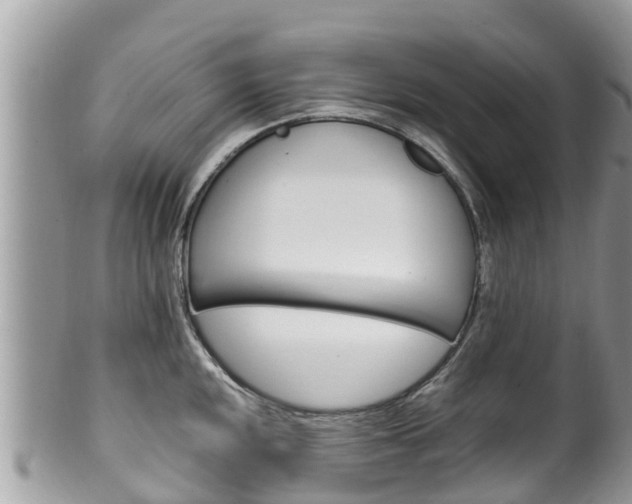 X0000100491048200806130751