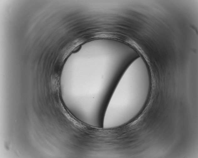 X0000100491049200806130751