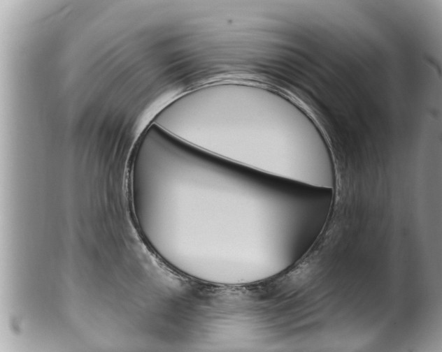 X0000100491050200806130751