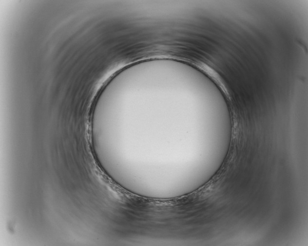 X0000100491051200806130751