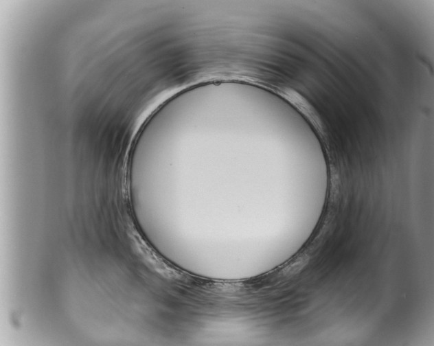 X0000100491052200806130751