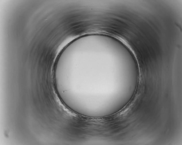 X0000100491053200806130751