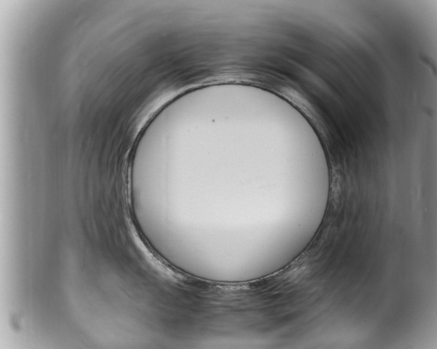 X0000100491055200806130751