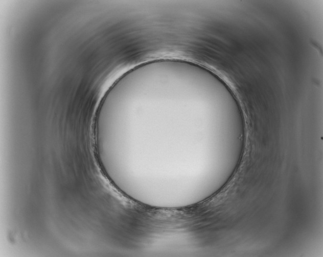 X0000100491056200806130751