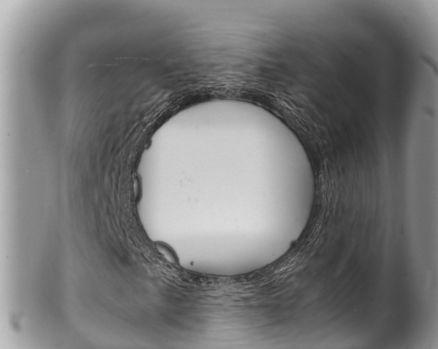 X0000100491057200806130750