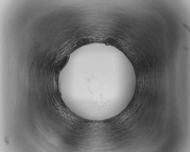 X0000100491058200806130750