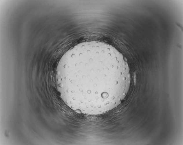 X0000100491059200806130750