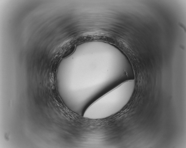 X0000100491062200806130750