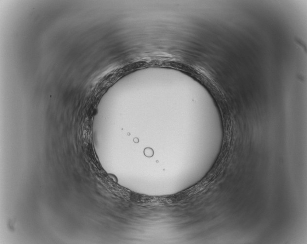 X0000100491063200806130750