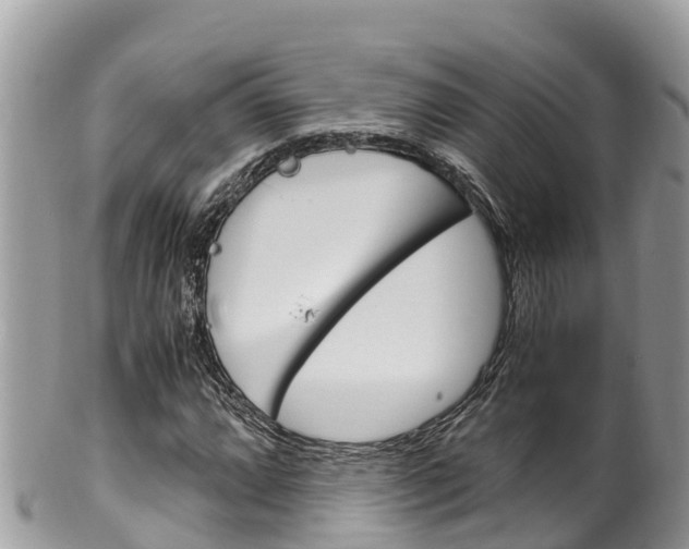 X0000100491064200806130750