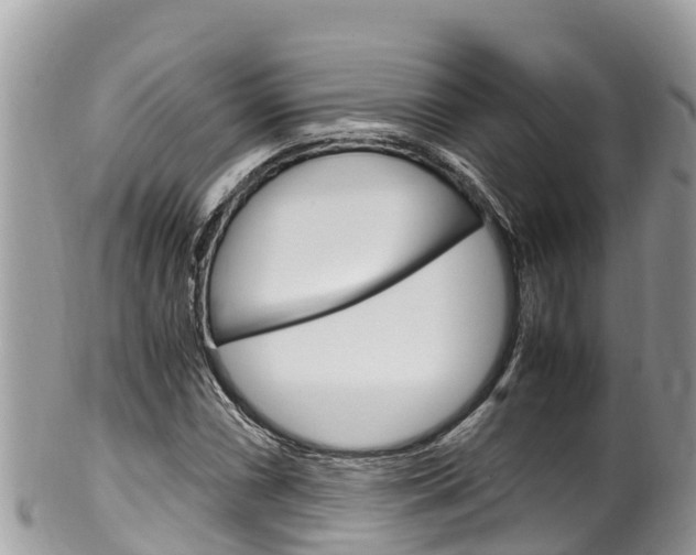 X0000100491066200806130750