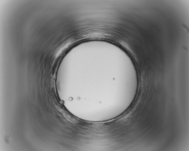 X0000100491067200806130750