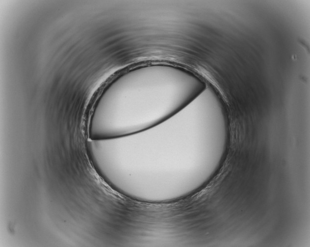 X0000100491068200806130750