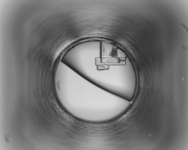 X0000100491069200806130750