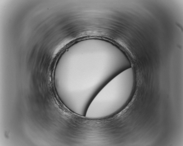 X0000100491070200806130750
