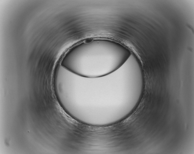 X0000100491072200806130750