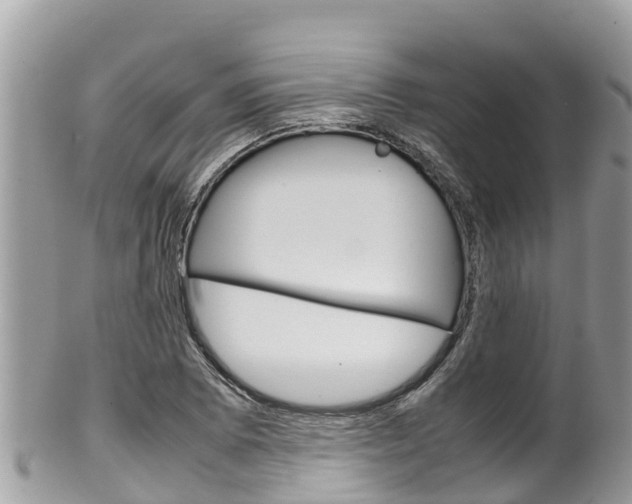 X0000100491073200806130750