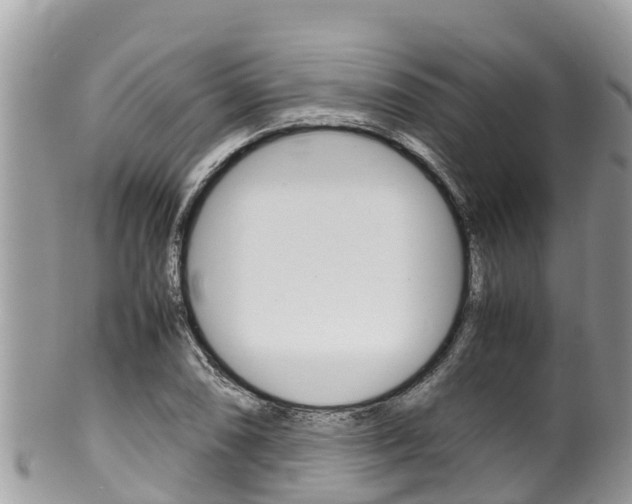 X0000100491074200806130750