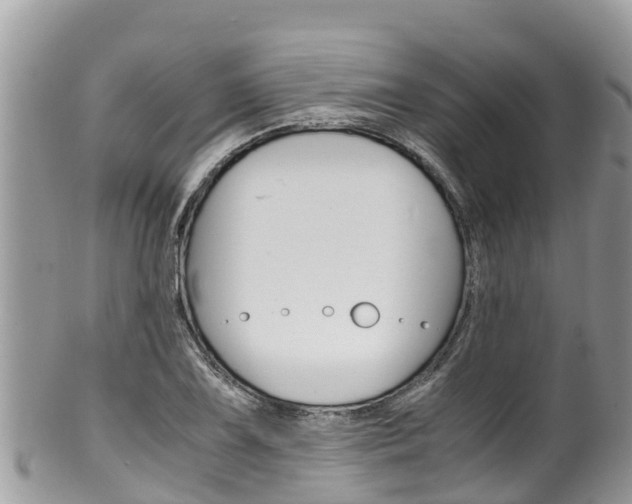 X0000100491075200806130750